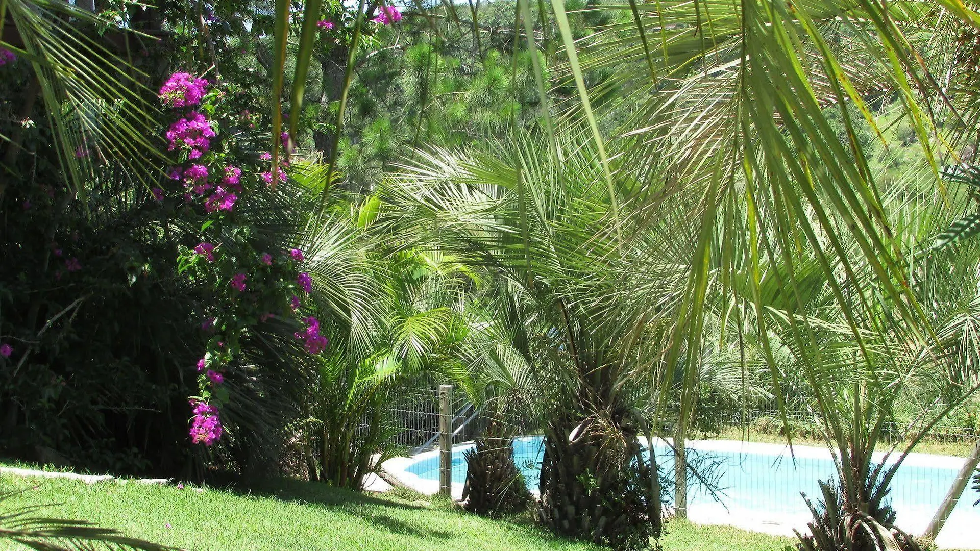 Pousada Dos Soles Praia do Rosa Inn